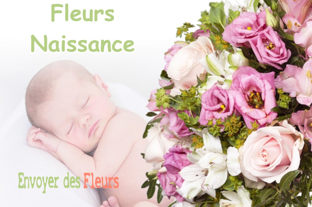 lIVRAISON FLEURS NAISSANCE à SERPAIZE